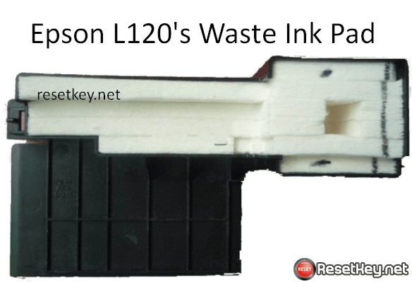 Free trial reset key for epson l120