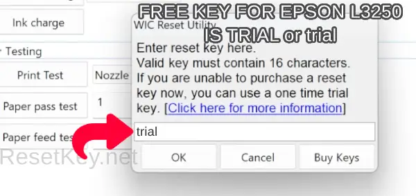 enter epson l3250 trial key
