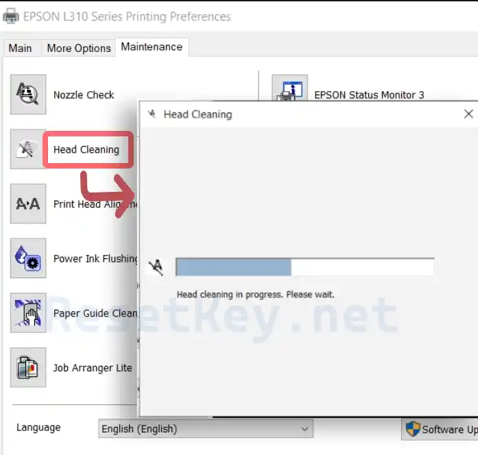 epson L310 head cleaning test