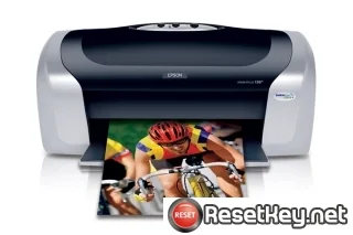 WIC Reset Utility for Epson C88 Waste Ink Counter Reset