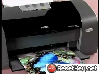Epson D68 Waste Ink Counter Reset Key