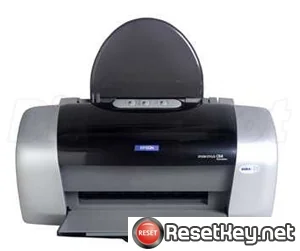 Epson D88 Waste Ink Counter Reset Key