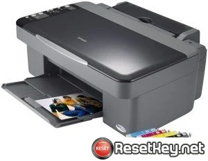 Epson DX4200 Waste Ink Counter Reset Key