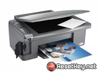 Resetting Epson DX5050 printer Waste Ink Counter