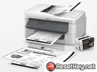 Epson K300 Waste Ink Counter Reset Key