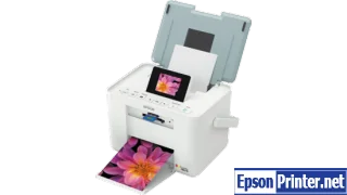 Reset Epson PM215 Waste Ink Counter overflow problem