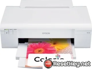 Resetting Epson PX-101 printer Waste Ink Pads Counter
