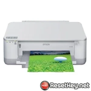 Reset Epson PX-203 Waste Ink Counter overflow problem