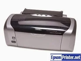 Reset Epson R230 Waste Ink Pads Counter overflow error
