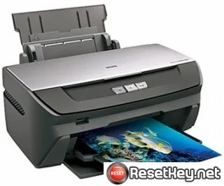 Reset Epson R270 Waste Ink Counter overflow error