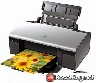 Epson R290 Waste Ink Pads Counter Reset Key