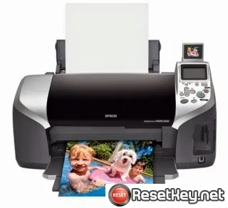 Reset Epson R320 Waste Ink Counter overflow error