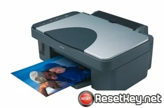 Reset Epson RX430 printer Waste Ink Pads Counter