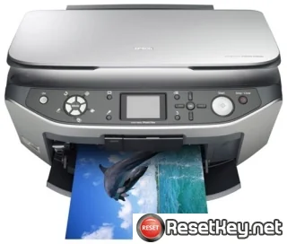 Epson RX640 Waste Ink Counter Reset Key