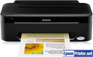 Epson S22 Waste Ink Pads Counter Reset Key