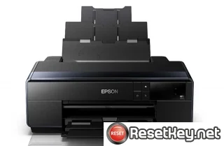 Epson SC-P600 Waste Ink Counter Reset Key