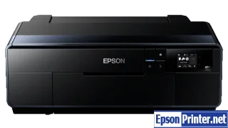 Epson SC-P608 Waste Ink Counter Reset Key