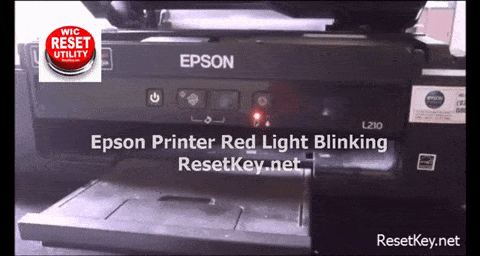 Reset Epson L210 With Epson L210 Resetter