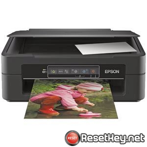 Reset Epson XP-245 printer with WICReset Utility Tool